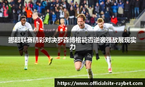 雷竞技RAYBET